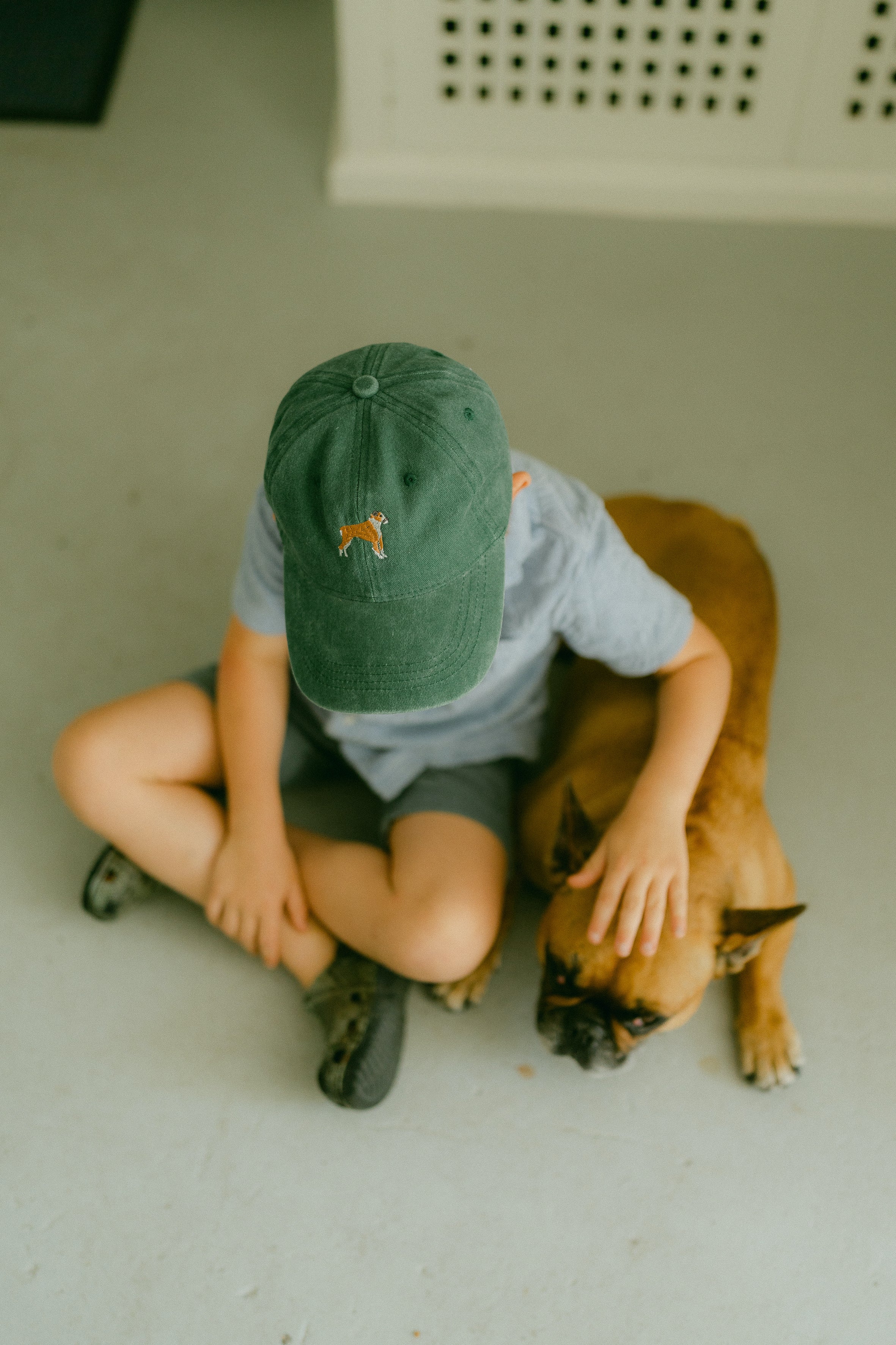 Pet Gifts
