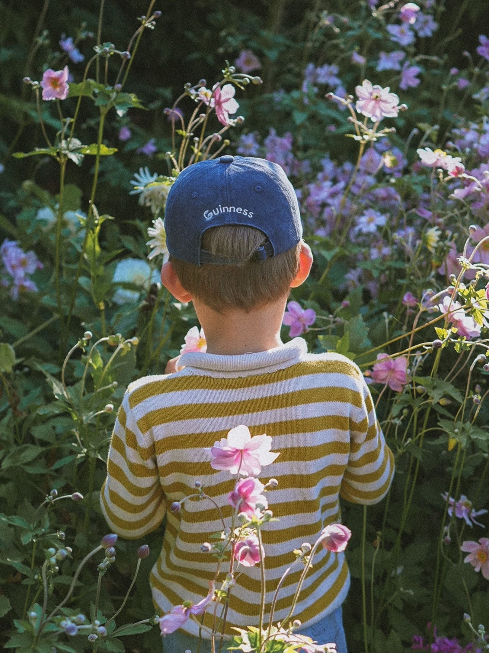 /products/cocker-spaniel-personalised-hat