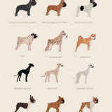 Personalised Storage Bucket - Dog Collection